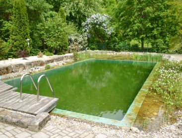 baignade ecologique en Allemagne reconversion en Living-Pool