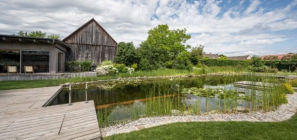 &Eacute;tang de baignade avec terrasse en bois et plantes naturelles dans le jardin un biotope durable Swimming Pond