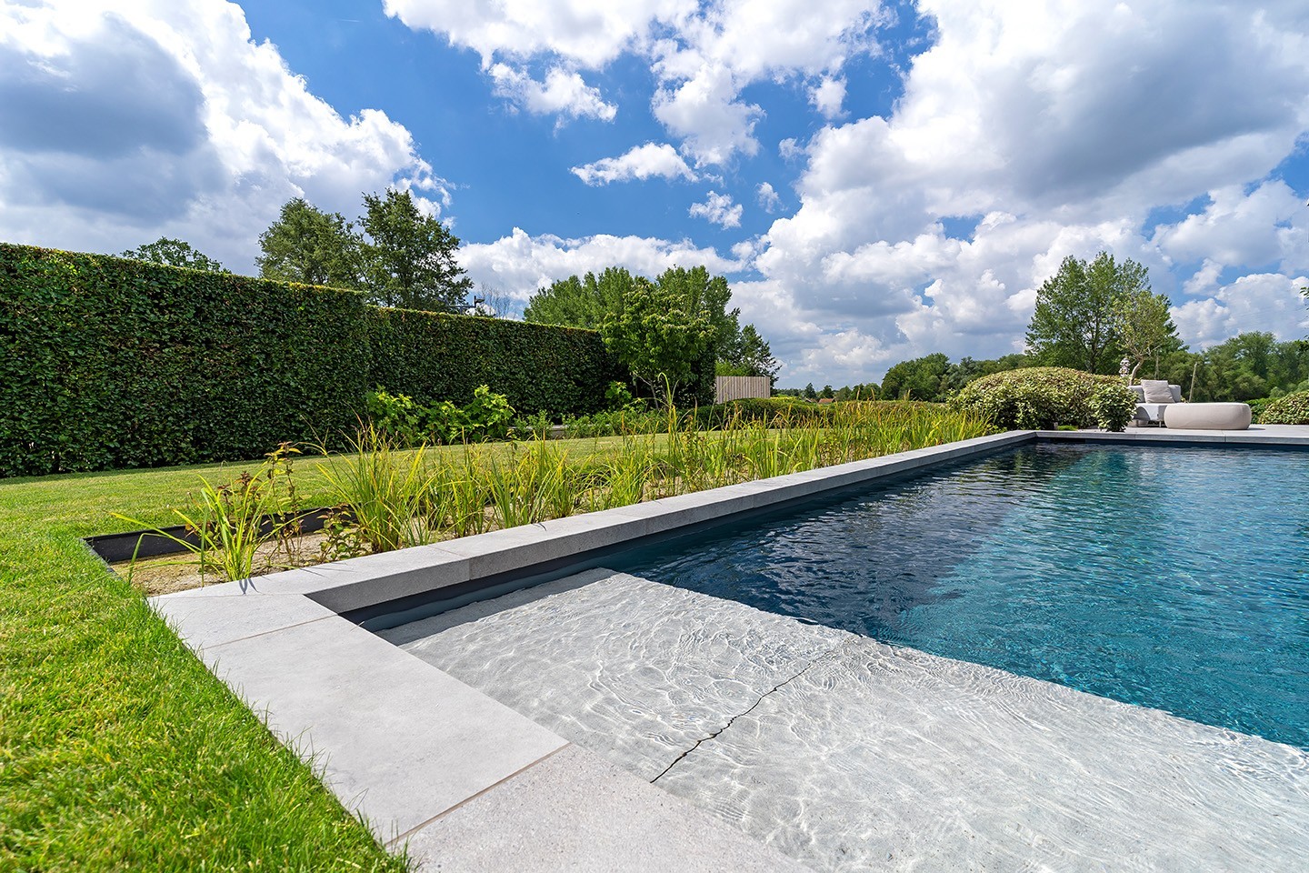 The natural pool fits seamlessly into the garden and terrace