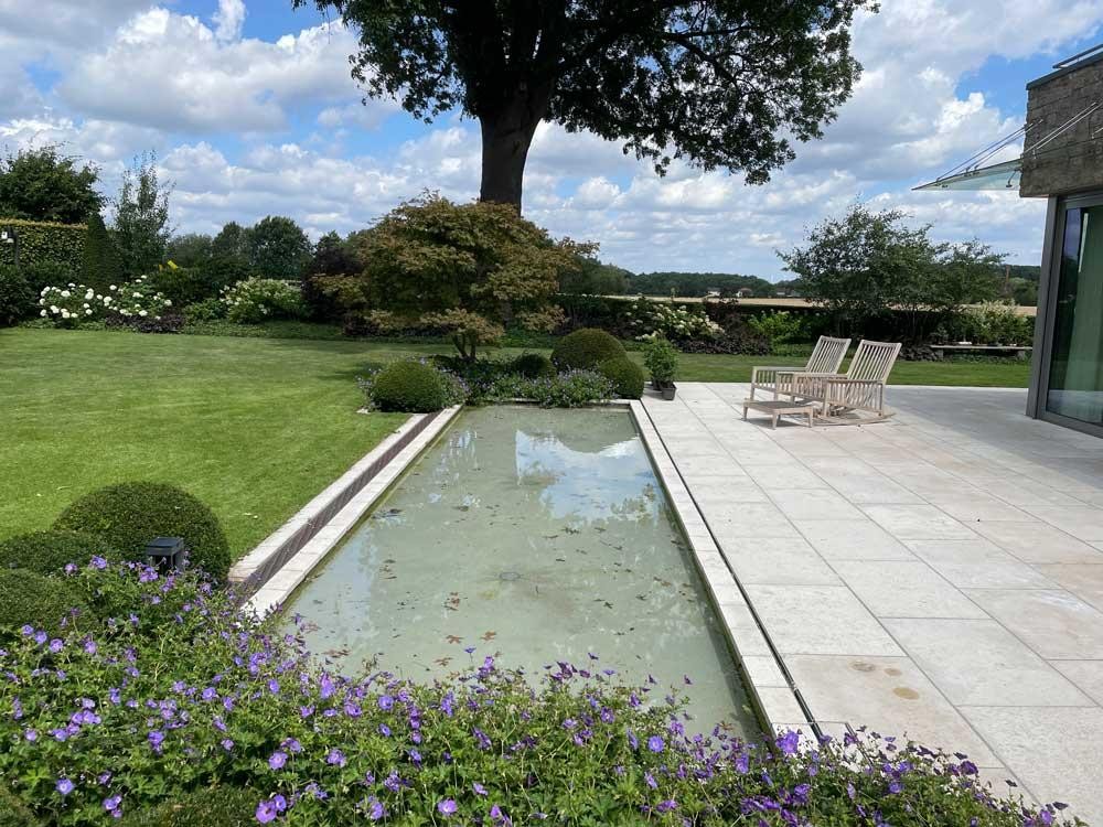 Ancienne piscine avec espace détente, fleurs et grand arbre