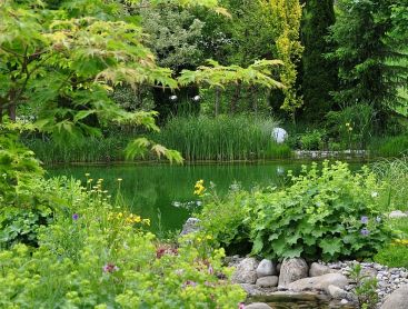 baignade ecologique avec un ruisseau serpentant dans le jardin