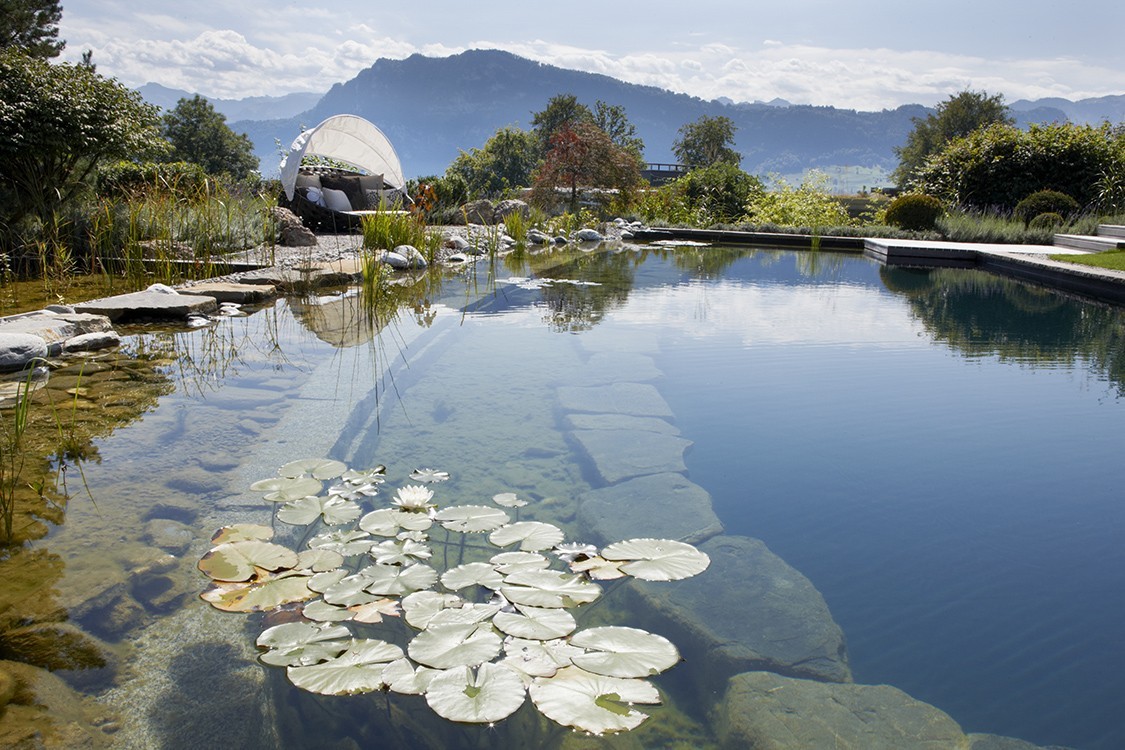 baignade ecologique en Suisse avec une conception harmonieuse de jardin