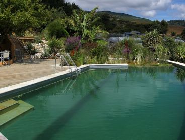 Baignade écologique en Nouvelle Zélande avec vue imprenable
