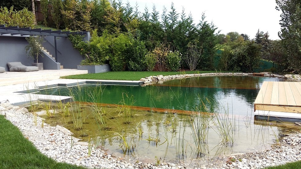 baignade ecologique la transformation en baignade naturelle evite la demolition de la piscine