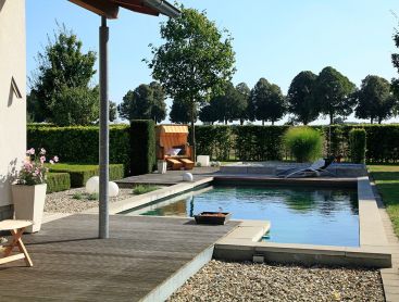 Reconversion d’un bassin à koi en Allemagne en Living-Pool