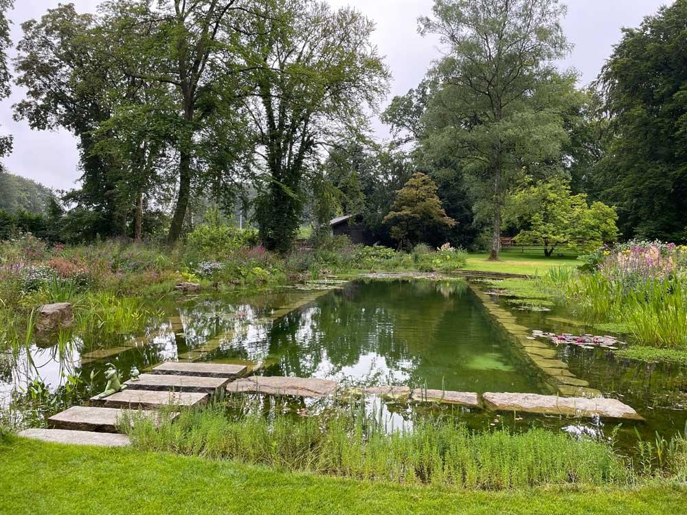 Bassin de baignade avec berge naturelle, plantes aquatiques et passerelle en pierre