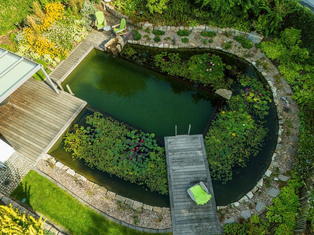 Bassin de baignade vu du ciel avec terrasse en bois nenuphars et jardin naturel