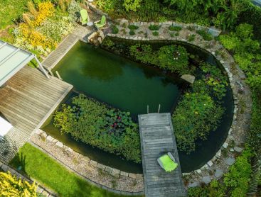 Bassin de baignade vu du ciel avec terrasse en bois nenuphars et jardin naturel