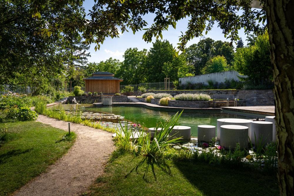 Bassin de baignade Biotop avec nenuphars pas japonais et jardin paysager