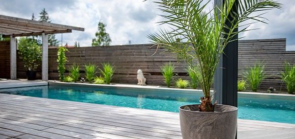 Une piscine Biotop Living Pool apr&egrave;s transformation et assainissement sans chlore