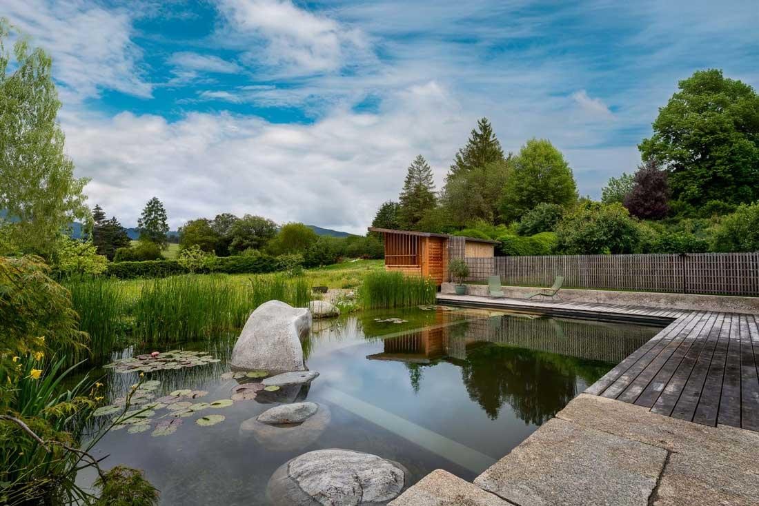 Piscine naturelle avec une terrasse en bois et abri de jardin