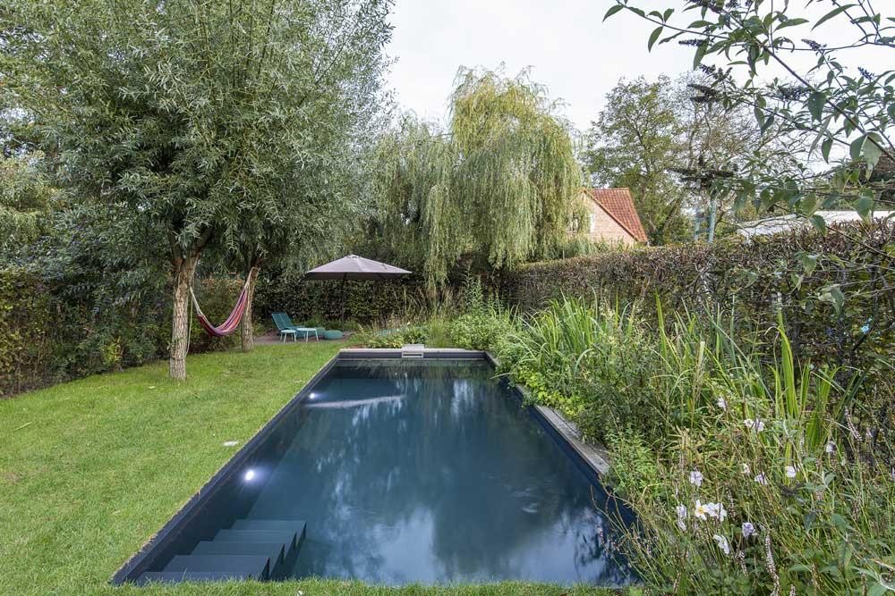 Piscine naturelle dans un jardin calme avec saule, pelouse et plantations