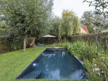 Piscine naturelle dans un jardin calme avec saule, pelouse et plantations