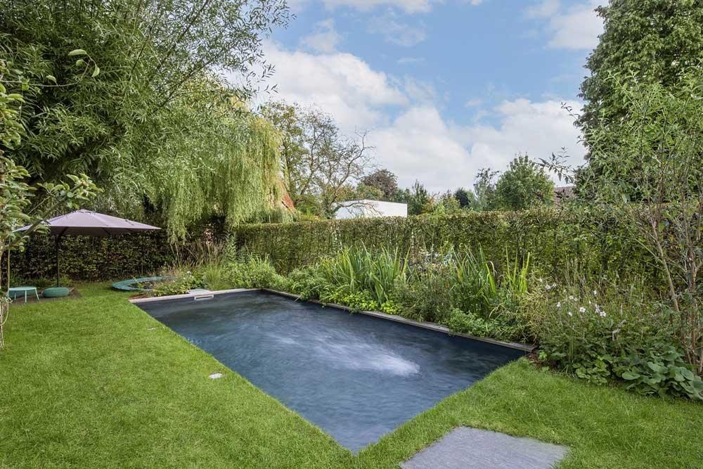 Piscine naturelle avec zone de régénération plantée dans un jardin verdoyant
