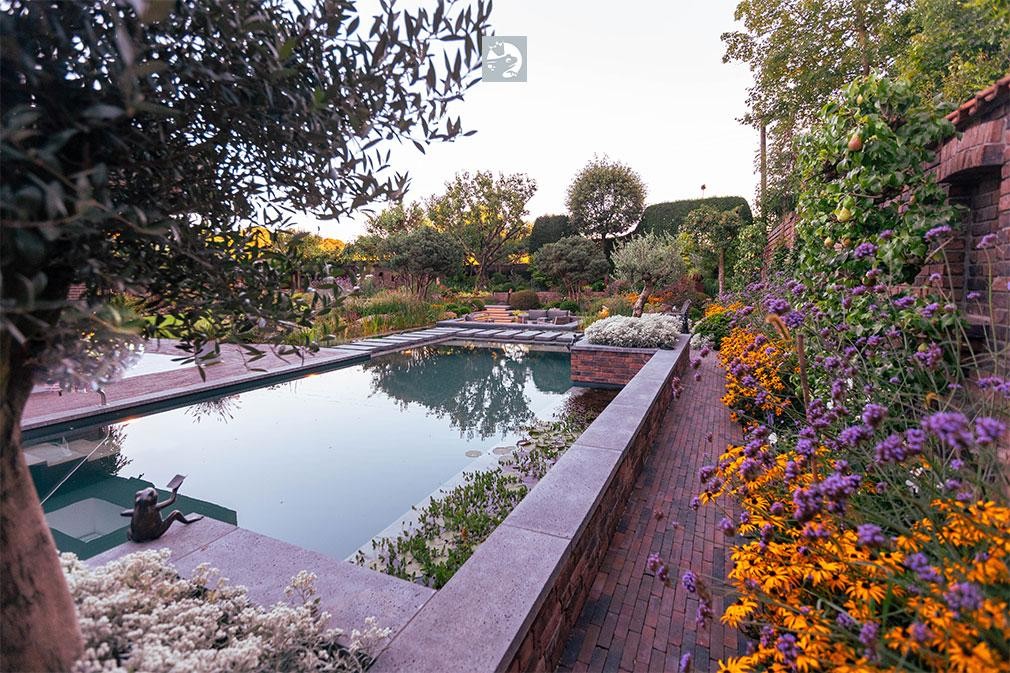 Piscine naturelle avec massif fleuri et mur de jardin au soir
