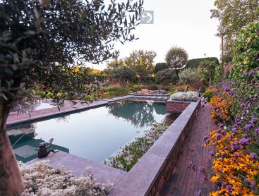 Piscine naturelle avec massif fleuri et mur de jardin au soir