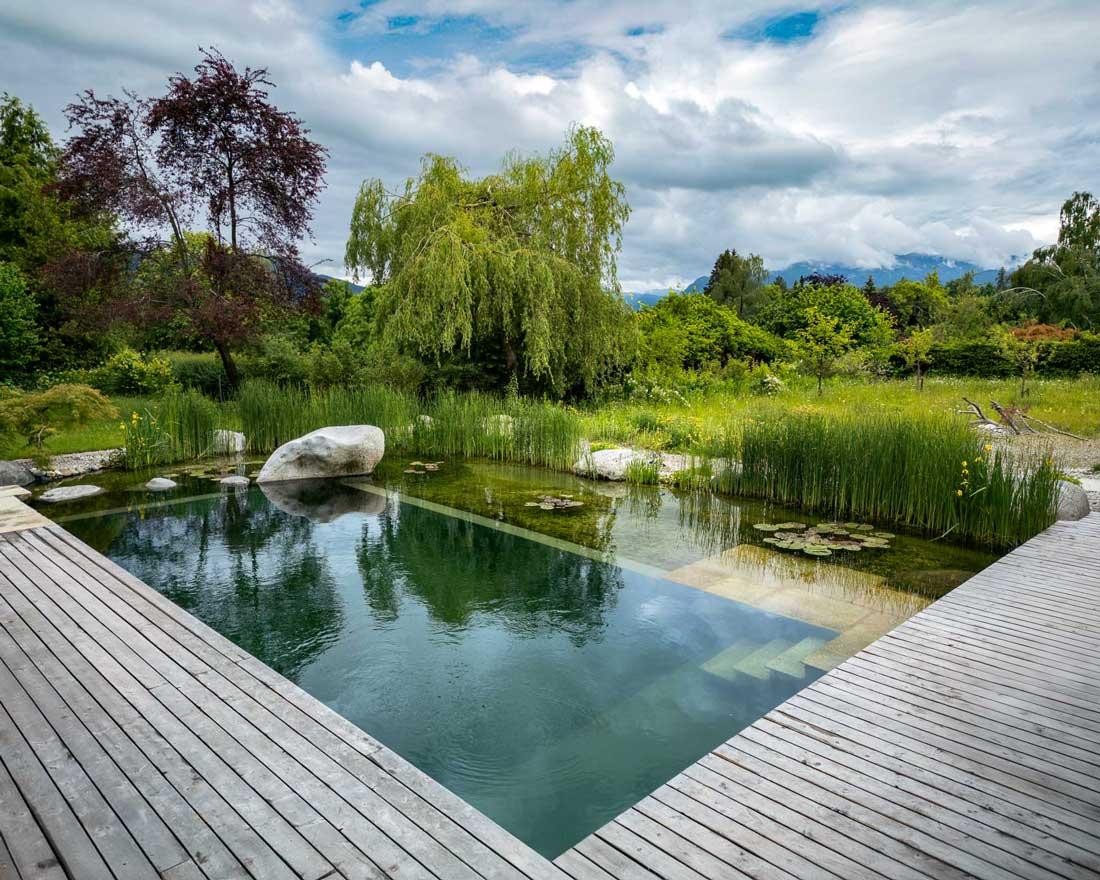 Piscine naturelle avec terrasse en bois, roseaux et vue sur les montagnes