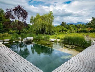 Piscine naturelle avec terrasse en bois, roseaux et vue sur les montagnes