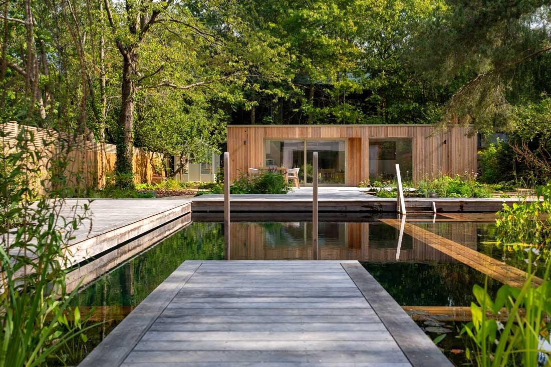 Piscine naturelle avec zone de régénération et ponton en bois dans un jardin naturel
