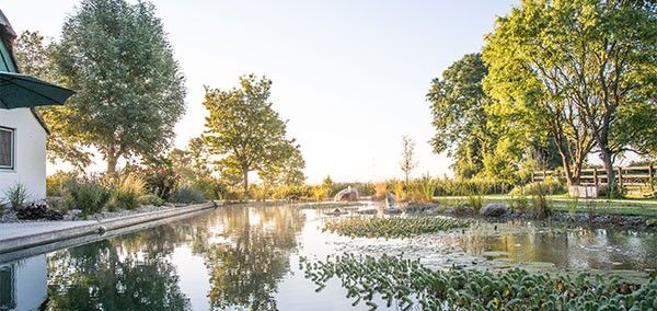 &Eacute;tang de baignade au milieu de grands arbres avec Biotop System apr&egrave;s un assainissement