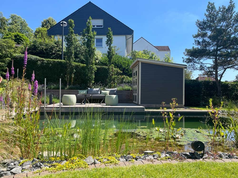 Etang de baignade avec terrasse en bois et zone plantee dans un jardin ensoleille