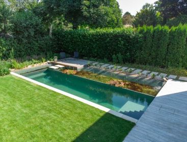 Etang de baignade aux lignes epurees avec zone de plantes dans un jardin contemporain