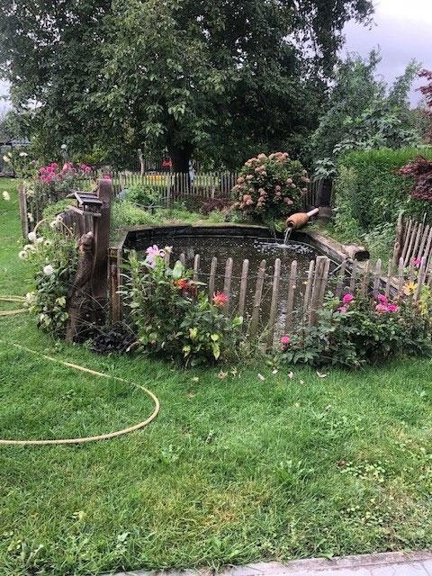 Petit bassin naturel avec fleurs, clôture en bois et arrivée d’eau