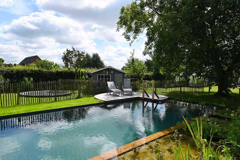 Piscine naturelle avec terrasse en bois, transats et abri de jardin