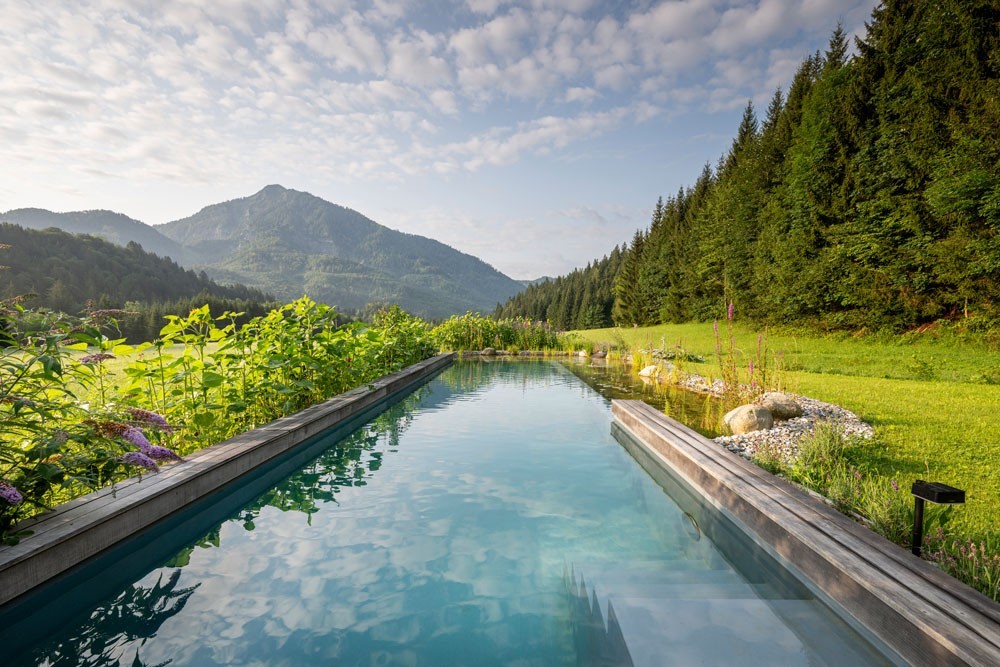 Piscine naturelle avec eau cristalline entourée de végétation et panorama