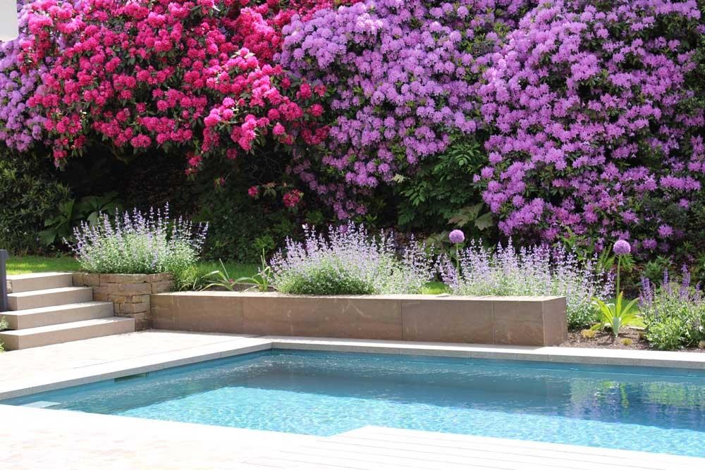 Piscine naturelle près de la maison avec terrasse en bois et jardin fleuri