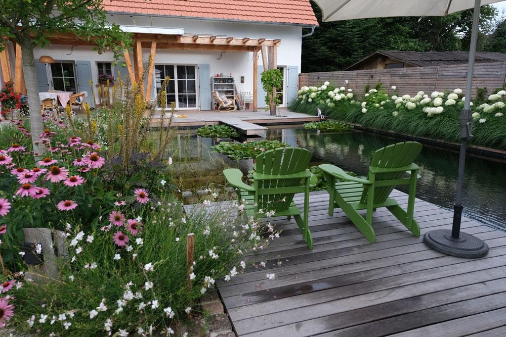 Piscine naturelle avec terrasse en bois fauteuils verts et jardin fleuri
