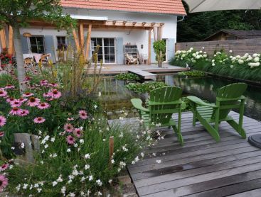 Piscine naturelle avec terrasse en bois fauteuils verts et jardin fleuri