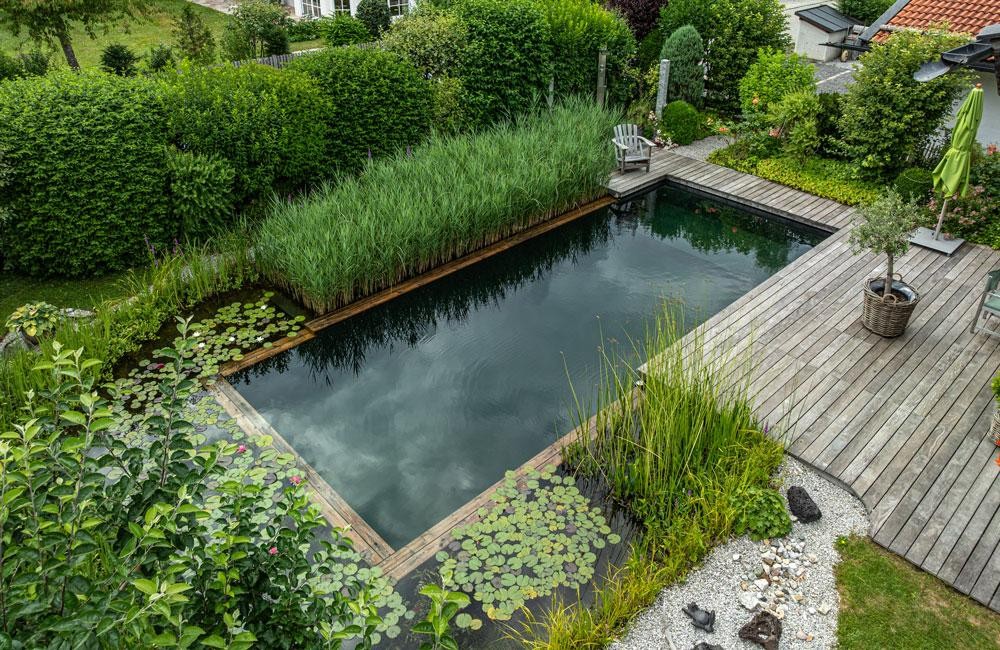 Piscine naturelle avec terrasse en bois et jardin Biotop