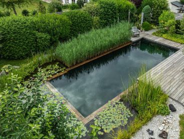 Piscine naturelle avec terrasse en bois et jardin Biotop