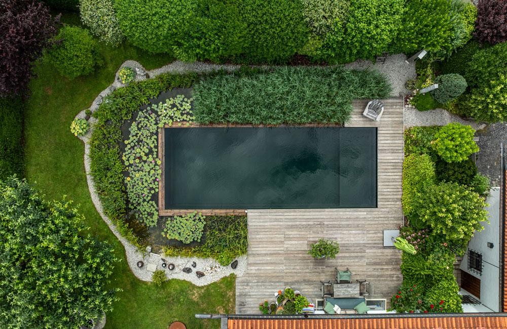 Piscine naturelle vue d’en haut avec zone de nage et terrasse en bois