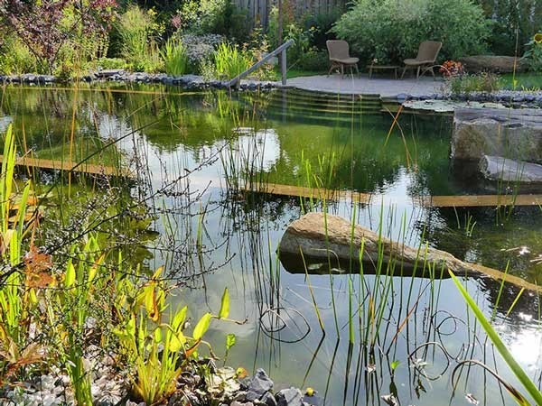 Piscine naturelle avec des plantes et une terrasse en bois idéale pour se détendre et se rafraîchi