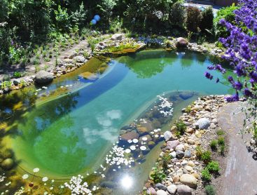 Renovation and reconstruction of a swimming pond with stones and plants.
