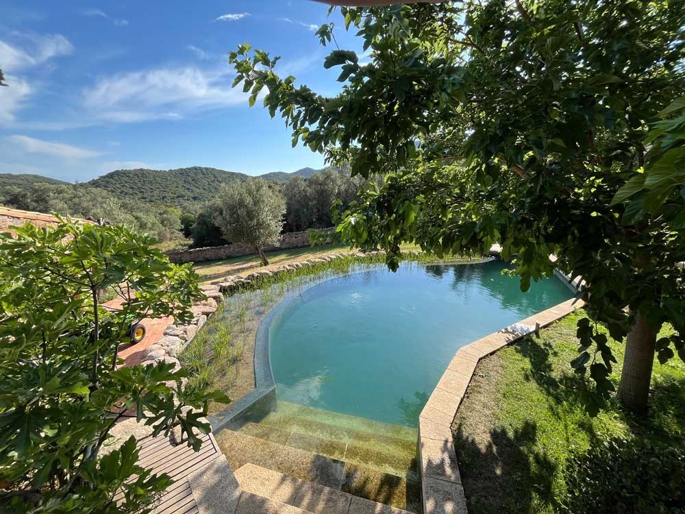 Bassin de baignade avec escalier et vue sur le vert méditerranéen