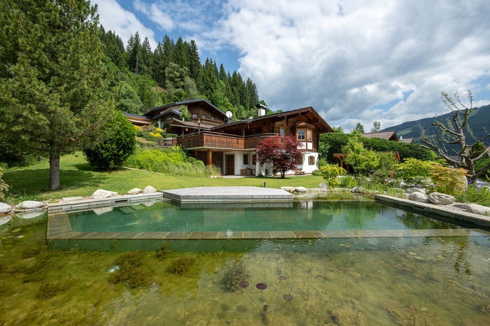 Gros plan de la zone de régénération de la piscine naturelle Biotop